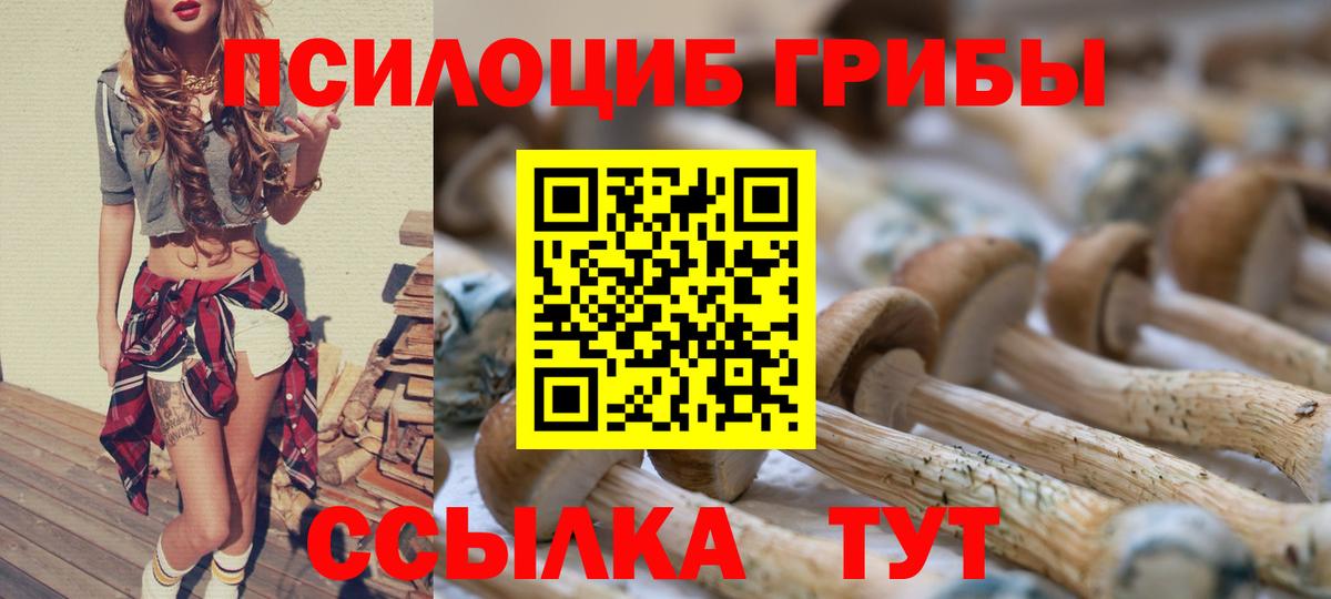 Галлюциногенные грибы ЛСД  купить   Красноярск  Вход с VPN 